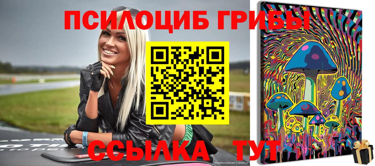 Галлюциногенные грибы мицелий  Вход с VPN  Советск 